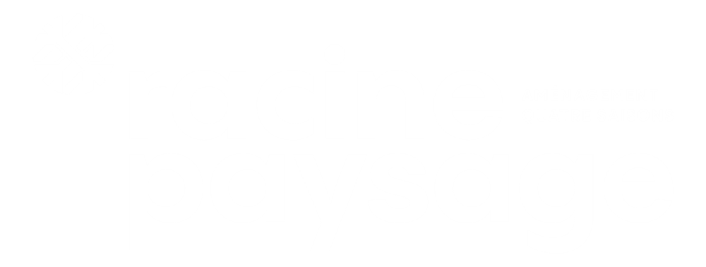 Racine Paysage