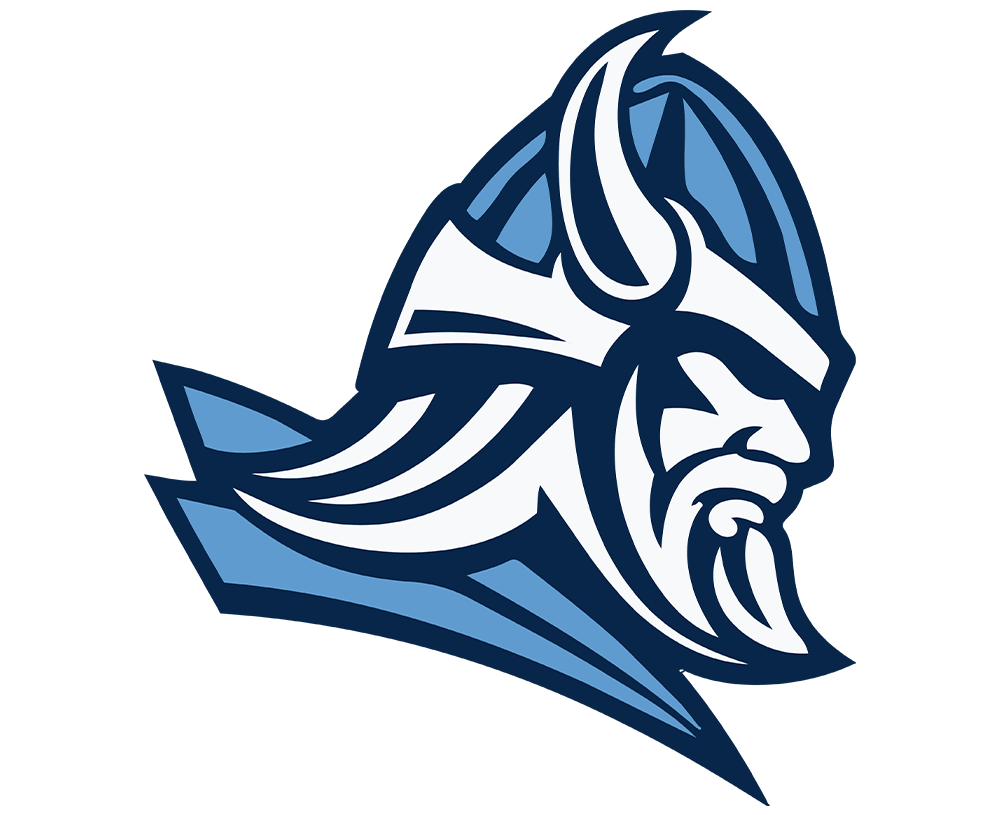 Sauna Viking