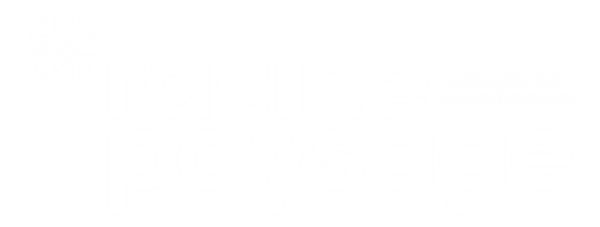 Racine Paysage