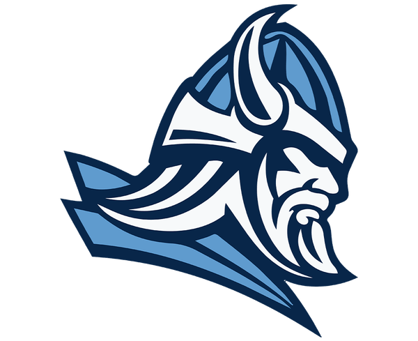 Sauna Viking